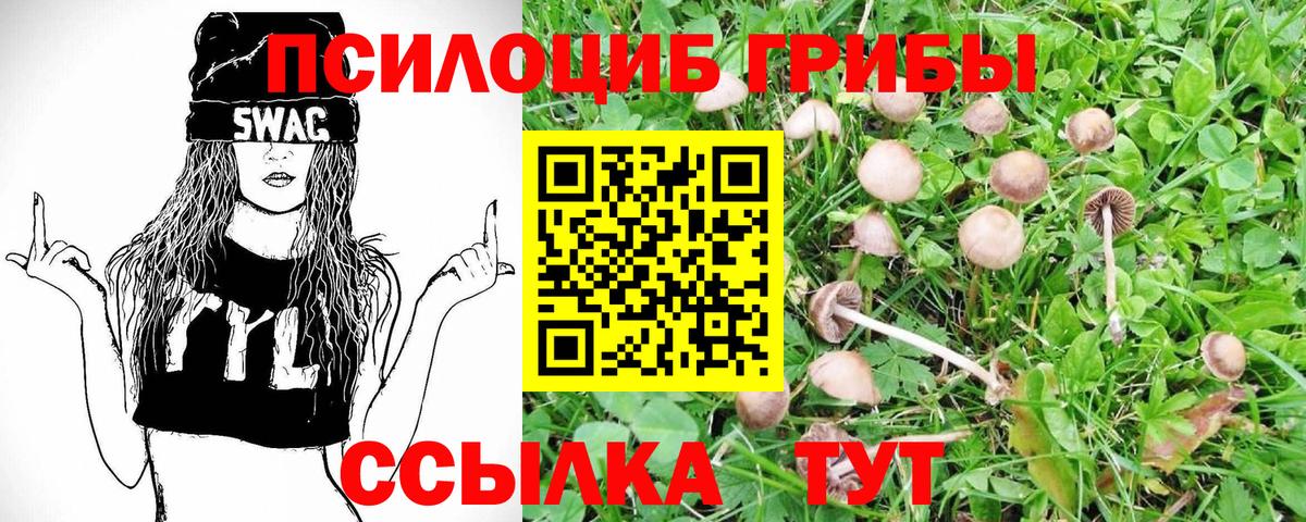 Псилоцибиновые грибы Cubensis  Вход с VPN  Псилоцибиновые грибы мицелий  Мирный 