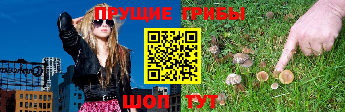 Галлюциногенные грибы прущие грибы Мирный